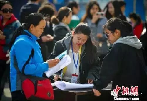 资料图:新疆乌鲁木齐市水磨沟区举办“春风行动”专场招聘会。 刘新 摄